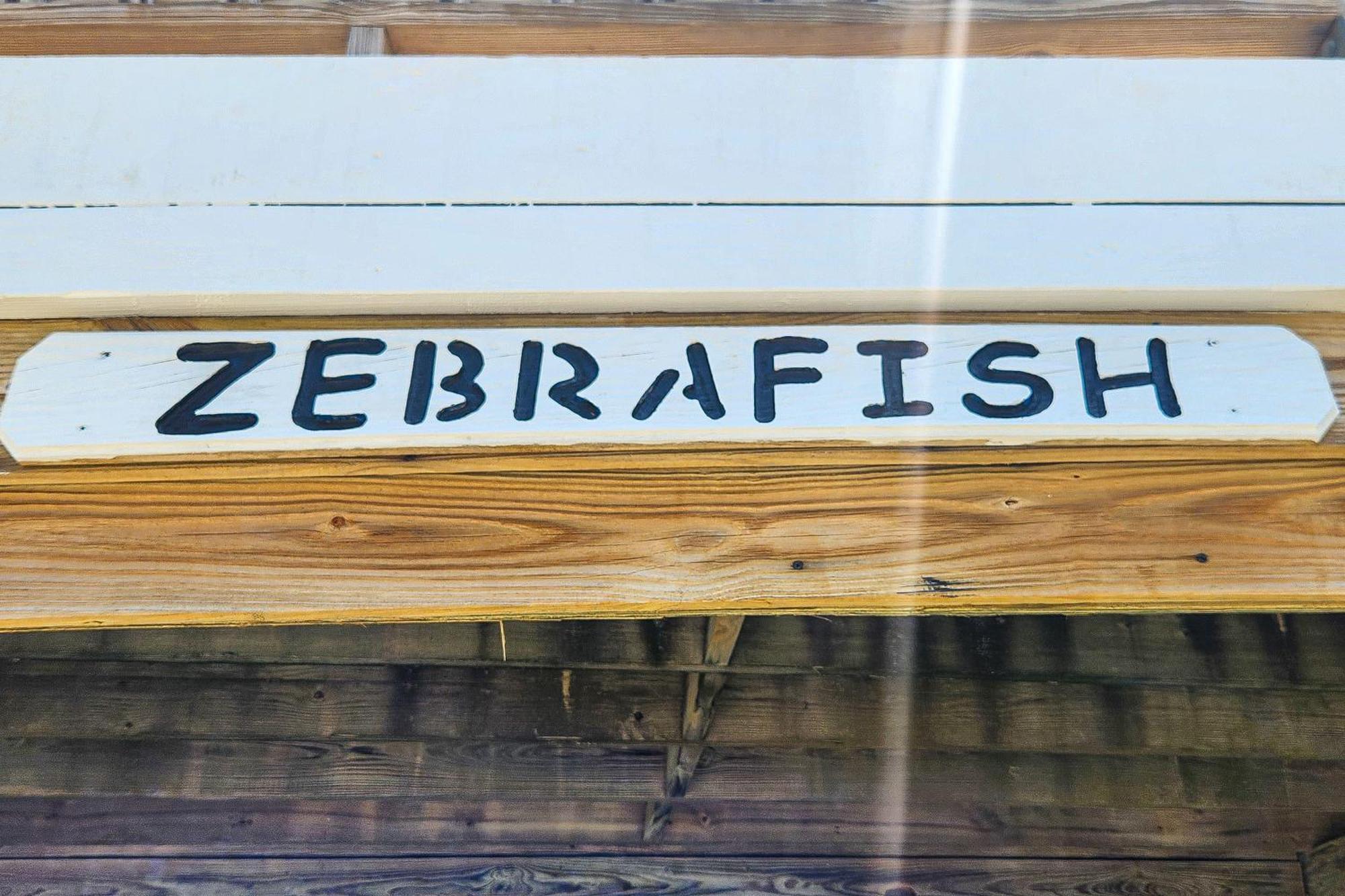 Yellowfin & Zebrafish Buxton Habitación foto